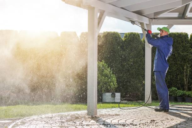 Best Sidewalk and Walkway Cleaning  in Fayette, MS